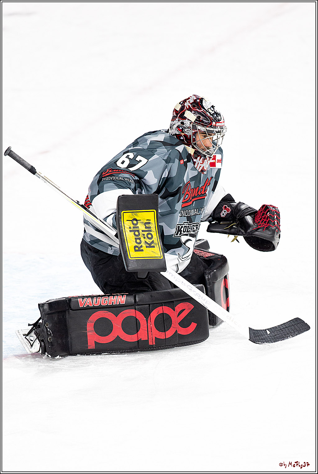 PENNY DEL;  Koelner Haie - Fischtown Pinguins Bremerhaven; Koeln, 12.02.2021